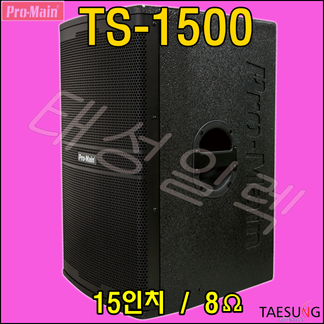 TS-1500 900W 고출력스피커 15인치 패시브스피커 추천 음향기기 판매 설치